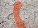 Oesia