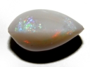 Opal Shell